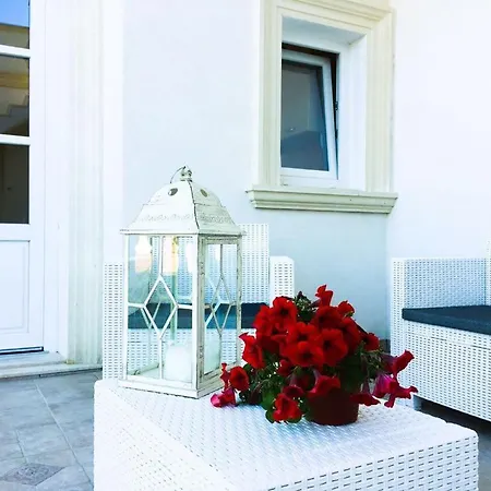 Donatella * 알레사노